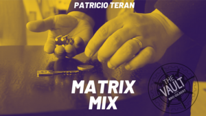 The Vault - Matrix Mix by Patricio Teran video DOWNLOAD Neues Münz-Matrix-System