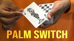 Magic Encarta Presents Palm Switch & Palm Control by Vivek Singhi Kartenkontrollen
