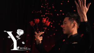 Y-Rose 2.0 by Mr. Y & Bond Lee Rosenvermehrung Rosenproduktion