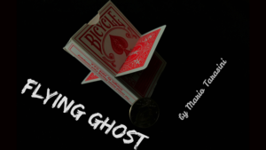 Flying Ghost by Mario Tarasini video DOWNLOAD Karte durchdringt Kartenschachtel etc.