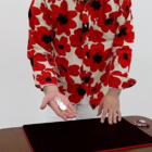 67552-alt2.png