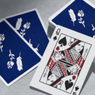 67612-alt1.png