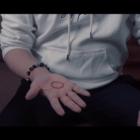 67810-alt3.png