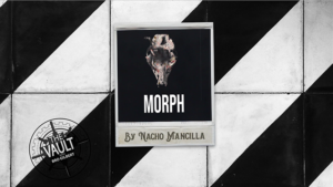 The Vault - MORPH by Nacho Mancilla Mixed Media DOWNLOAD Polaroidfoto verwandelt sich in Zuschauerwahl