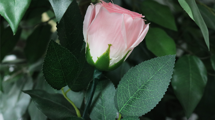 68018-alt2.png 68018-alt2.png