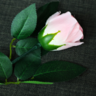 68018-full-1.png