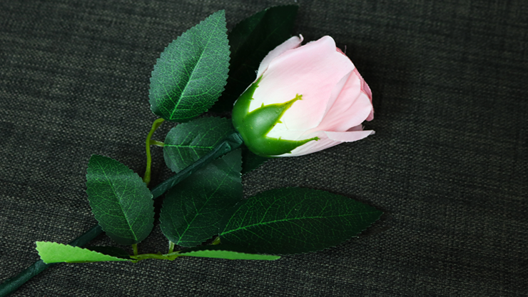 68018-full-1.png 68018-full-1.png