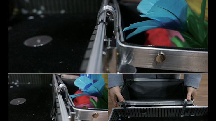 68081-alt2.png 68081-alt2.png