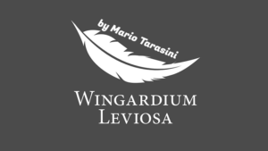 Wingardium Leviosa by Mario Tarasini video DOWNLOAD Karte schwebt über Kartenspiel