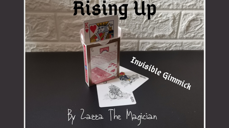 69019-full.png 69019-full.png