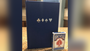 Beach House Card Tricks (Vol 2) by Marc Davison Book Zauberbuch Kartentricks für Anfänger und Fortgeschrittene