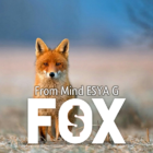 70554-full.png