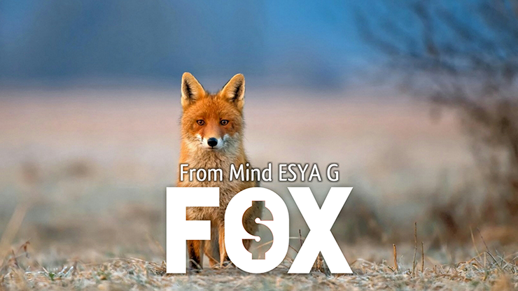 70554-full.png 70554-full.png
