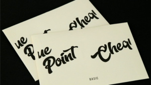 ChequePoint Basic by Hide & Creators P Zerrissene Quittung in falscher Anordnung wieder zusammengesetzt 10 Quittungen
