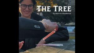 THE TREE by Marcos Waldemar & Invisible Compass video DOWNLOAD Englischsprachiges Video