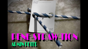 PenStrawtration by Armin Peter video DOWNLOAD Durchdringungseffekte mit Strohhalm