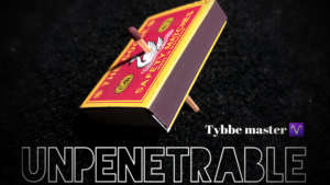 Unpenetrable by Tybbe Master video DOWNLOAD Streichholz durchdringt Münze