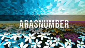 Arasnumber by Negan video DOWNLOAD Kartentrick