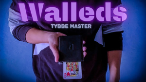 Walleds by Tybbe Master video DOWNLOAD Objekte mit eigenem Portemonnaie austauschen