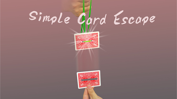 77164-full.png 77164-full.png