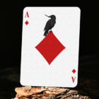 77462-alt4.png