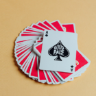 78310-alt1.png
