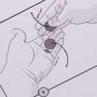 78405-alt5.png