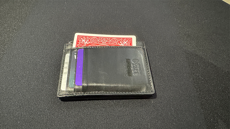 78463-alt2.png 78463-alt2.png