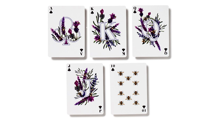 78484-alt3.png 78484-alt3.png