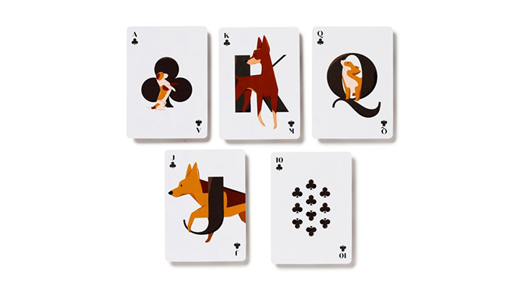 78489-alt2.png 78489-alt2.png