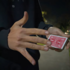 78510-alt3.png