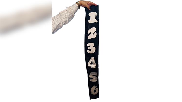 78528-alt1.png 78528-alt1.png