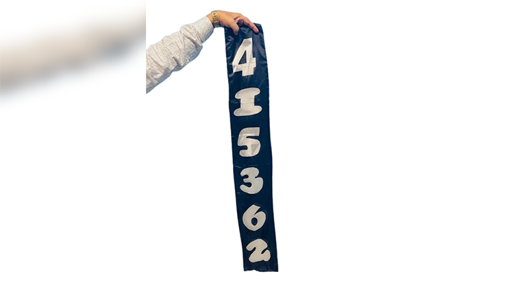 78528-full.png 78528-full.png