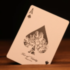 78541-alt2.png