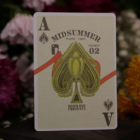 78542-alt2.png