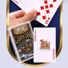 78762-alt1.png