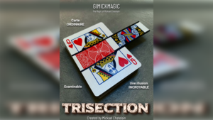 TRISECTION (Red) by Mickael Chatelain Zig Zag Illusion mit Karte rot