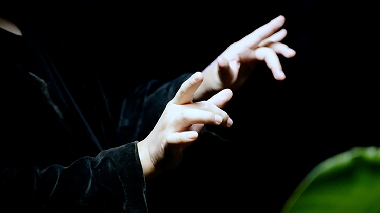 79010-alt1.png 79010-alt1.png