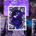 79103-alt4.png