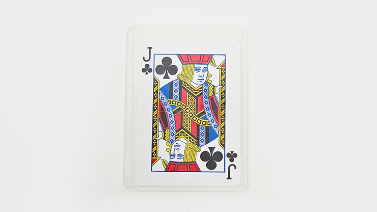 79110-alt1.png 79110-alt1.png