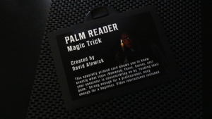 The Palm Reader Card by David Alnwick Handlesen Gedankenlesen mit Kunststoffkarte