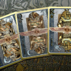 79133-alt3.png