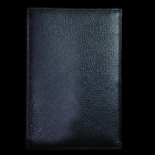 79163-alt3.png