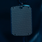 79166-alt4.png