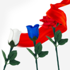 79200-alt1.png