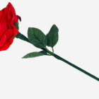 79200-alt3.png