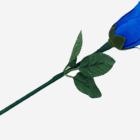 79200-alt4.png