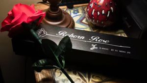 Reborn Rose by JL Magic Rose verschwindet erscheint verwandelt sich Trickset