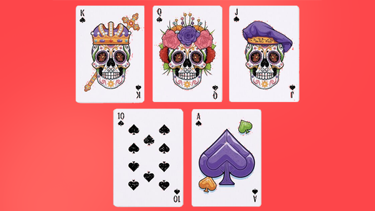 79296-alt4.png 79296-alt4.png