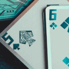 79625-alt5.gif